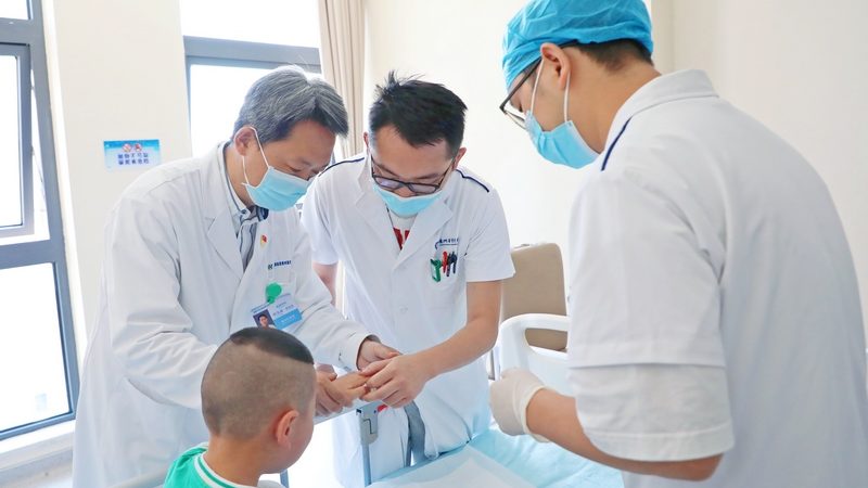 大型中药材切片加工设备：揭秘其价格背后的技术秘密**